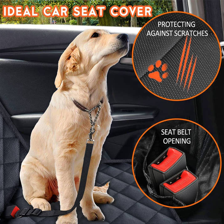 PawGuard Dog Car Seat Cover - Pet Jungle