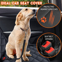 PawGuard Dog Car Seat Cover - Pet Jungle