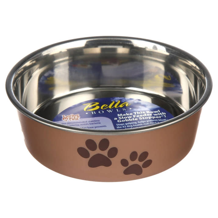 Bella Bowl Small Champagne, 1.0 CT - Pet Jungle