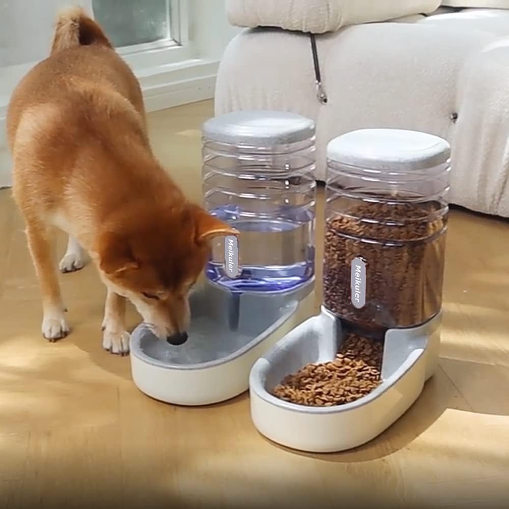 Automatic Pet Food and Water Dispenser - Pet Jungle